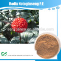 Alta qualidade radix notoginseng pe